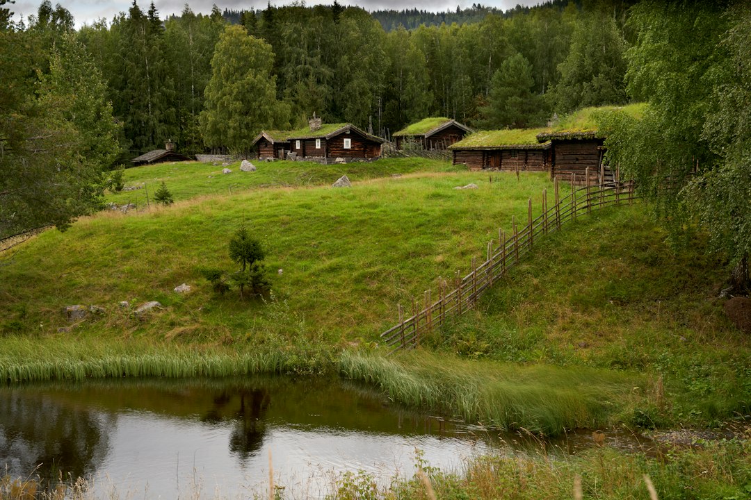 Od Dinama do Bayerna: kako je Viking došao do povijesnog boda